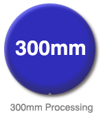 300mm Processing